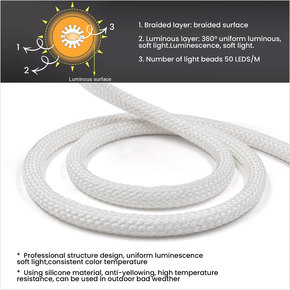 Bande lumineuse flexible en si - Ws2812B avis et prix
